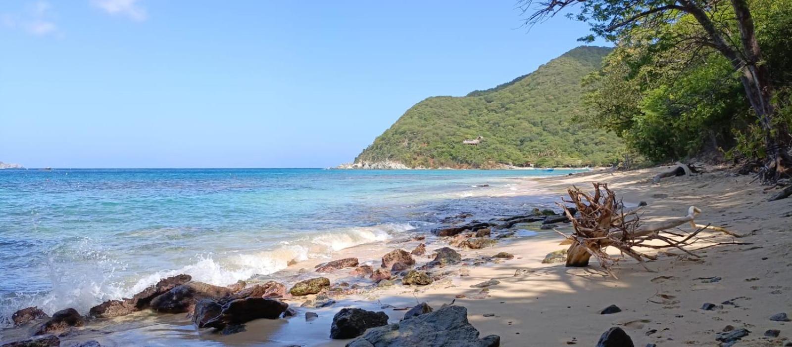 Mirador Playa Cristal Tayrona Hotel Nenguange Bagian luar foto
